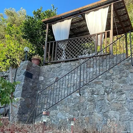 Rosa Lipari (Isola Lipari)