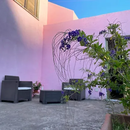 Rosa ليباري