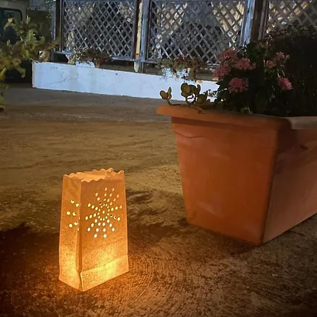 Rosa * Lipari (Isola Lipari)